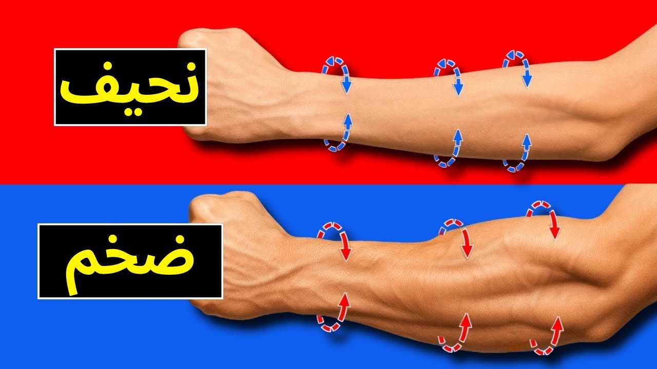 تمرينان فقط لبناء سواعد ضخمة بشكل لا يصدق!