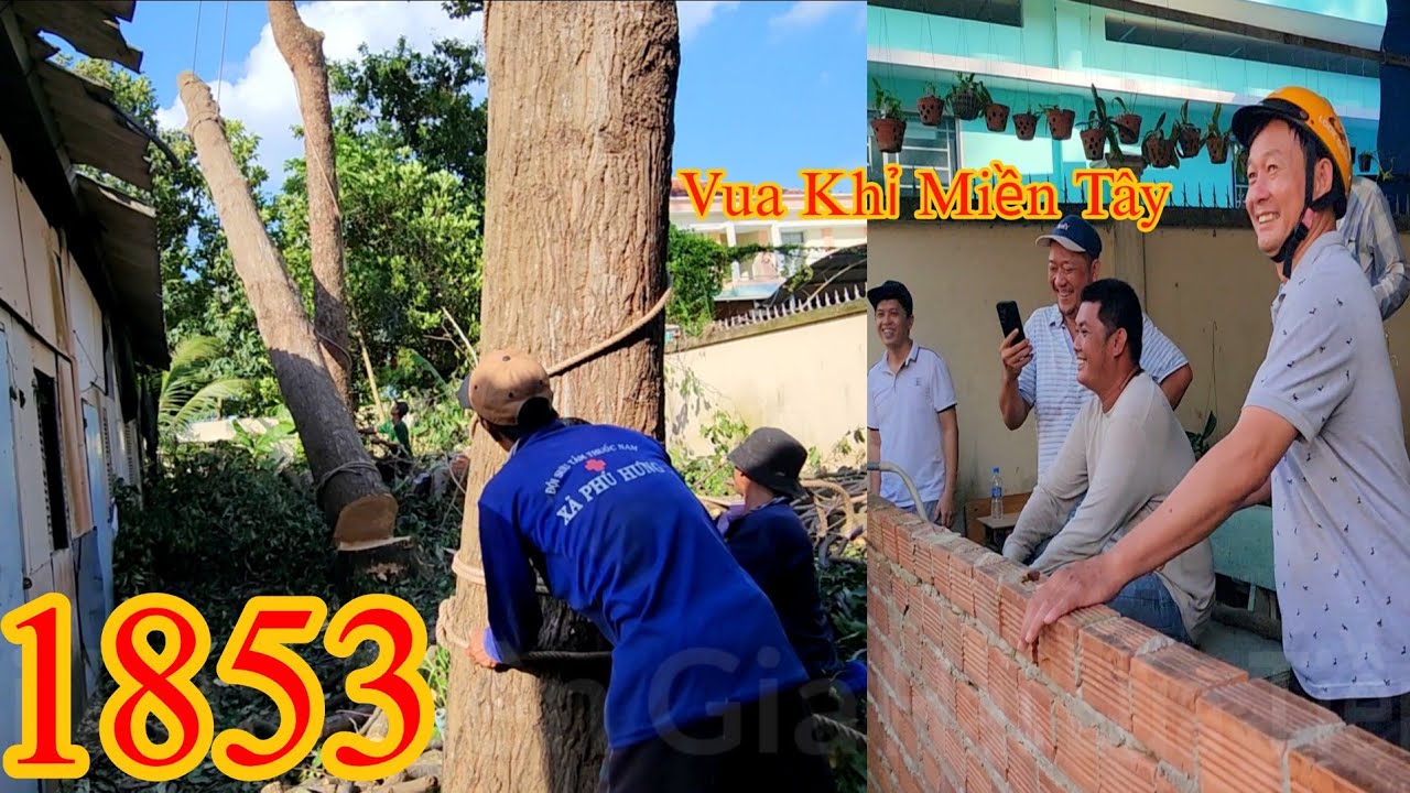 Khán giả hơi thất vọng khi Vua Khỉ Miền Tây treo nguyên thân cây Sao xuống quá nhẹ nhàng (2/2)