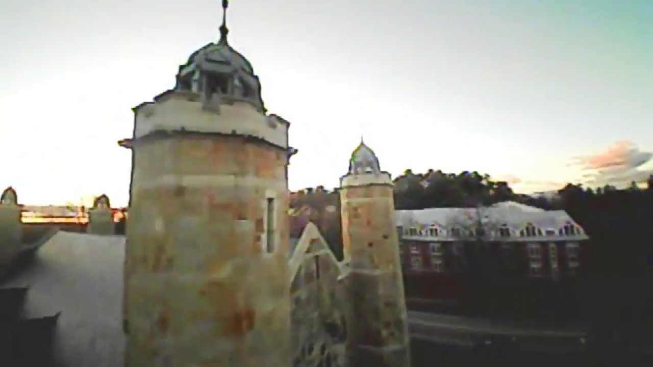 Beta65s freestyle madness