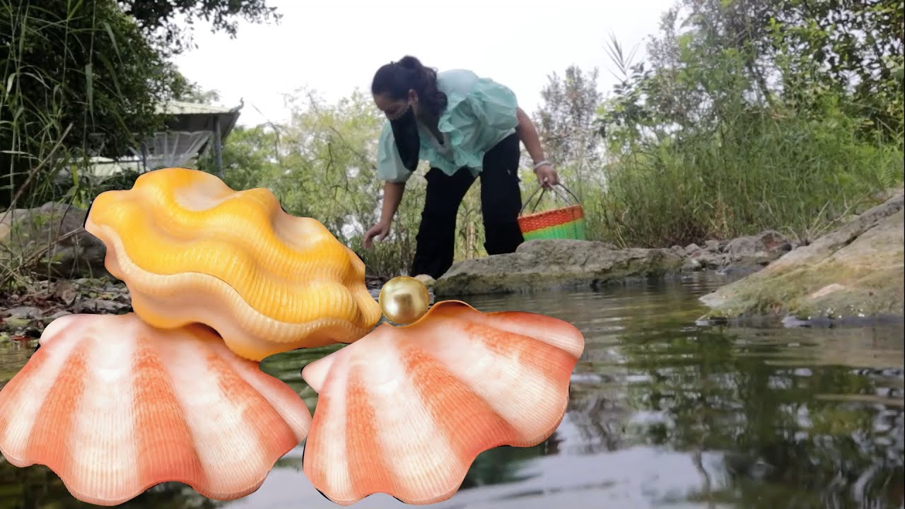 The girl discovered a pearl nest in the wilderness, it was too unexpected