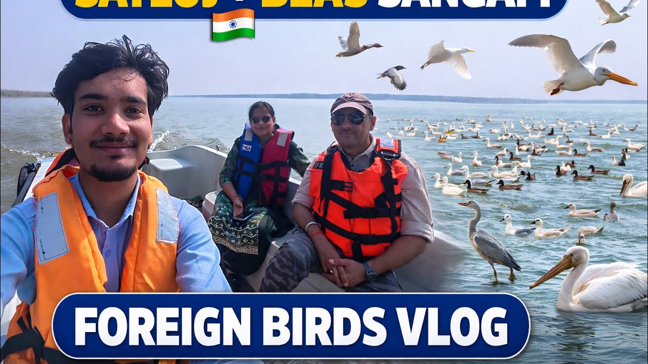 Punjab ka Hidden Place 😍 Satluj–Beas Sangam par Migratory Birds 🐦