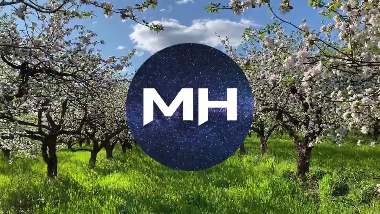 Simon More - Dreamland (No copyright music)