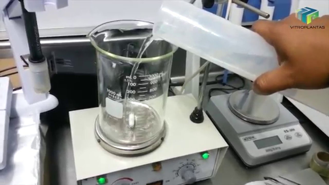 Elaboración de Medio de Cultivo MS para Plantas Carnívoras in vitro