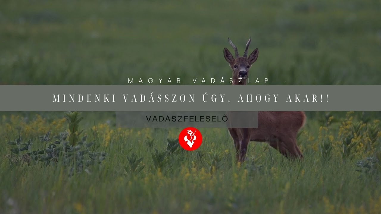 Vad&aacute;szfeleselő 4/1. - Mindenki vad&aacute;sszon &uacute;gy, ahogy akar!!