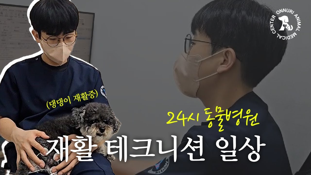[VLOG] 동물병원 재활 동물 보건사의 리얼 하루 공개!