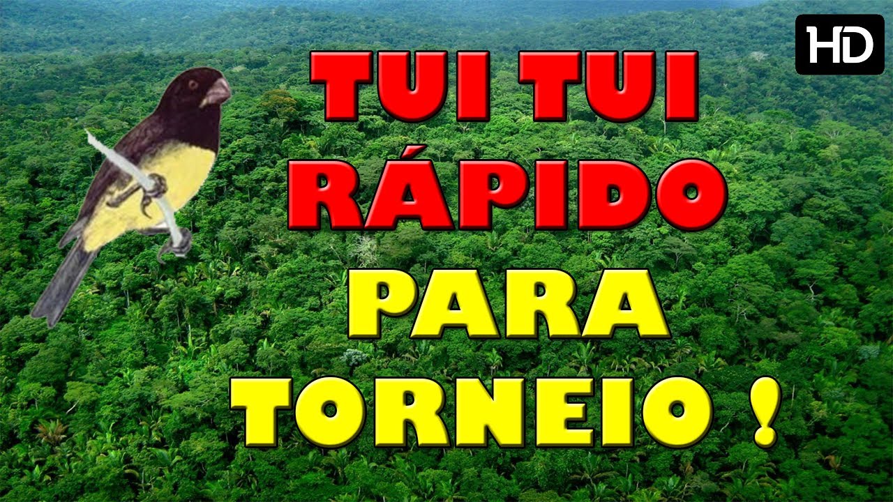 TUI TUI PARA TORNEIO ! (RÁPIDO,VELOCISTA VELOX)