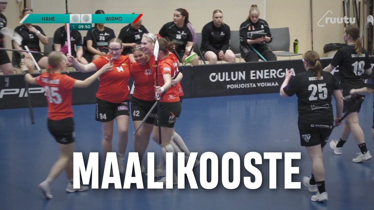 Maalikooste: HaHe - SBS Wirmo (Inssi-Divari N)