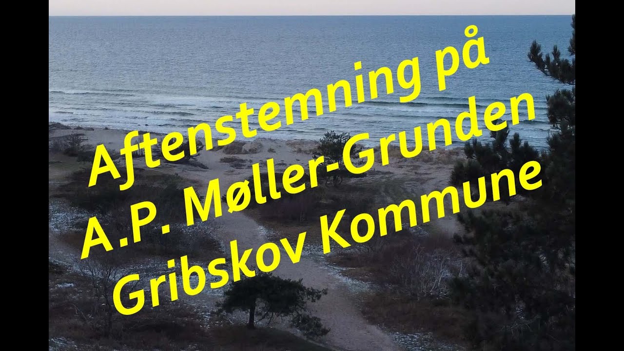 A. P. Møller-Grunden