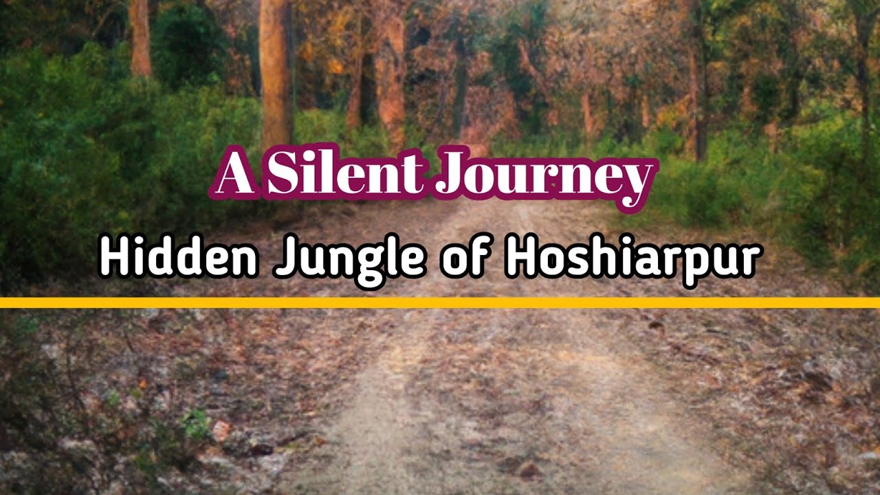 Hoshiarpur the haunted jungle | best place to visit in hoshiarpur