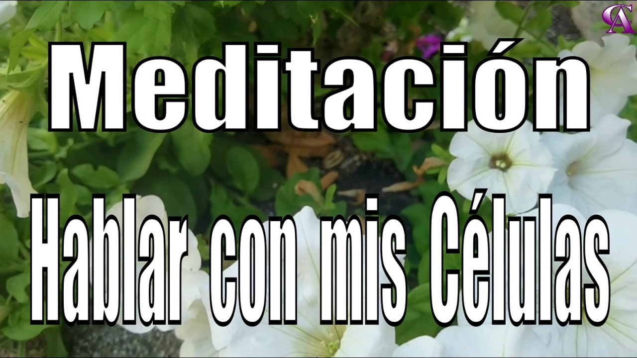 Meditación. Hablar con mis Células.