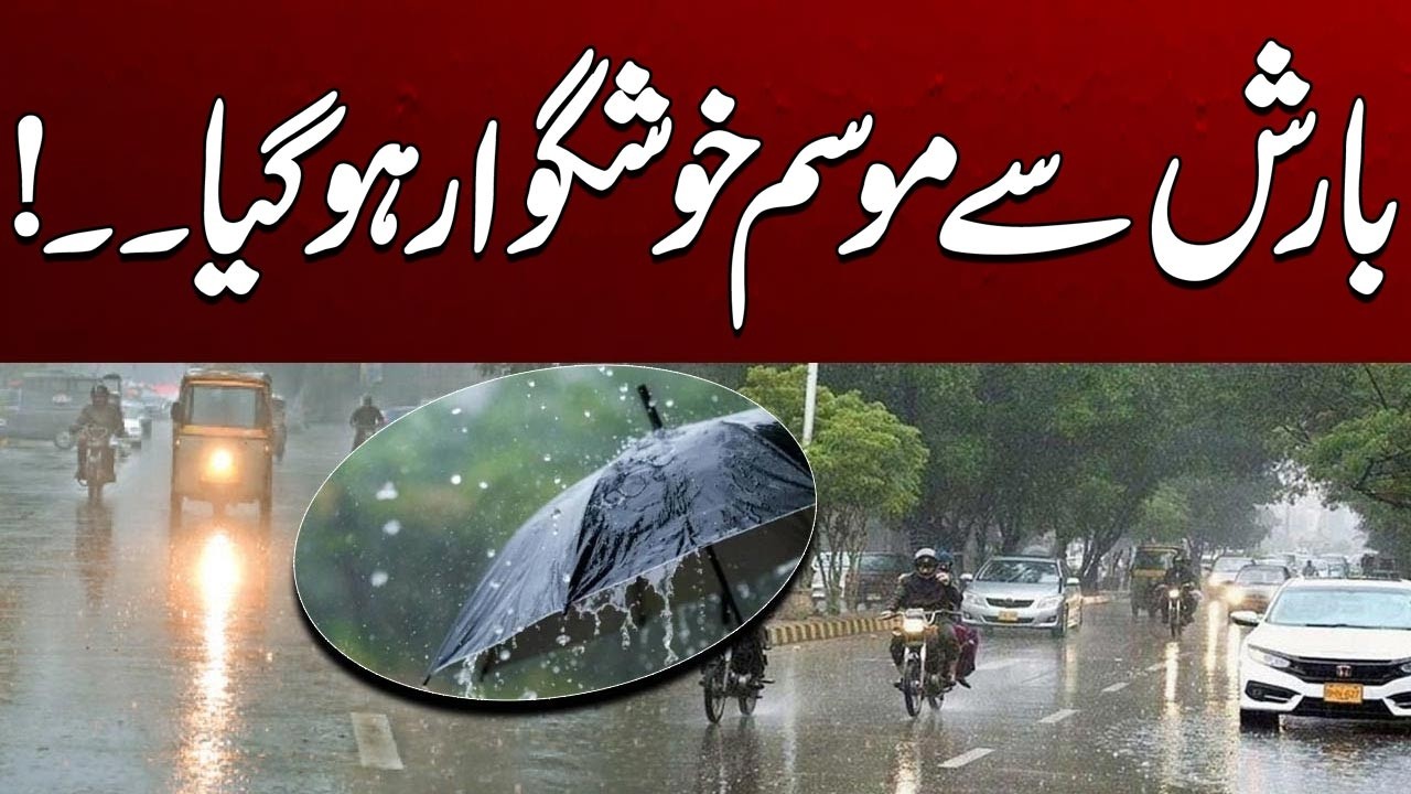 Refreshing Weather After the Rain | Breaking News | City41
