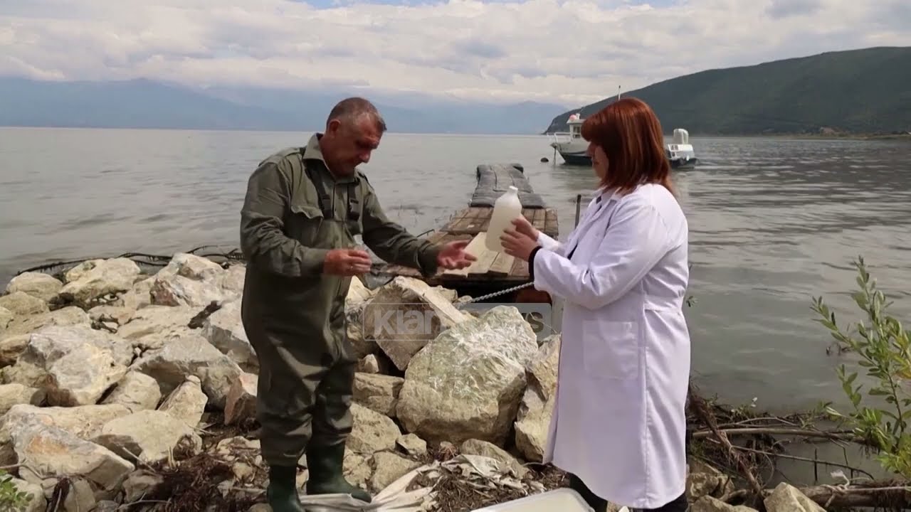 Klan News - Liqeni i Prespës po thahet