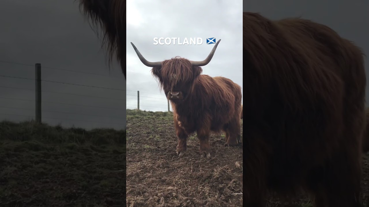 The next station is SCOTLAND 🏴󠁧󠁢󠁳󠁣󠁴󠁿 #scotland #scottish #visitscotland #scotlandtravel
