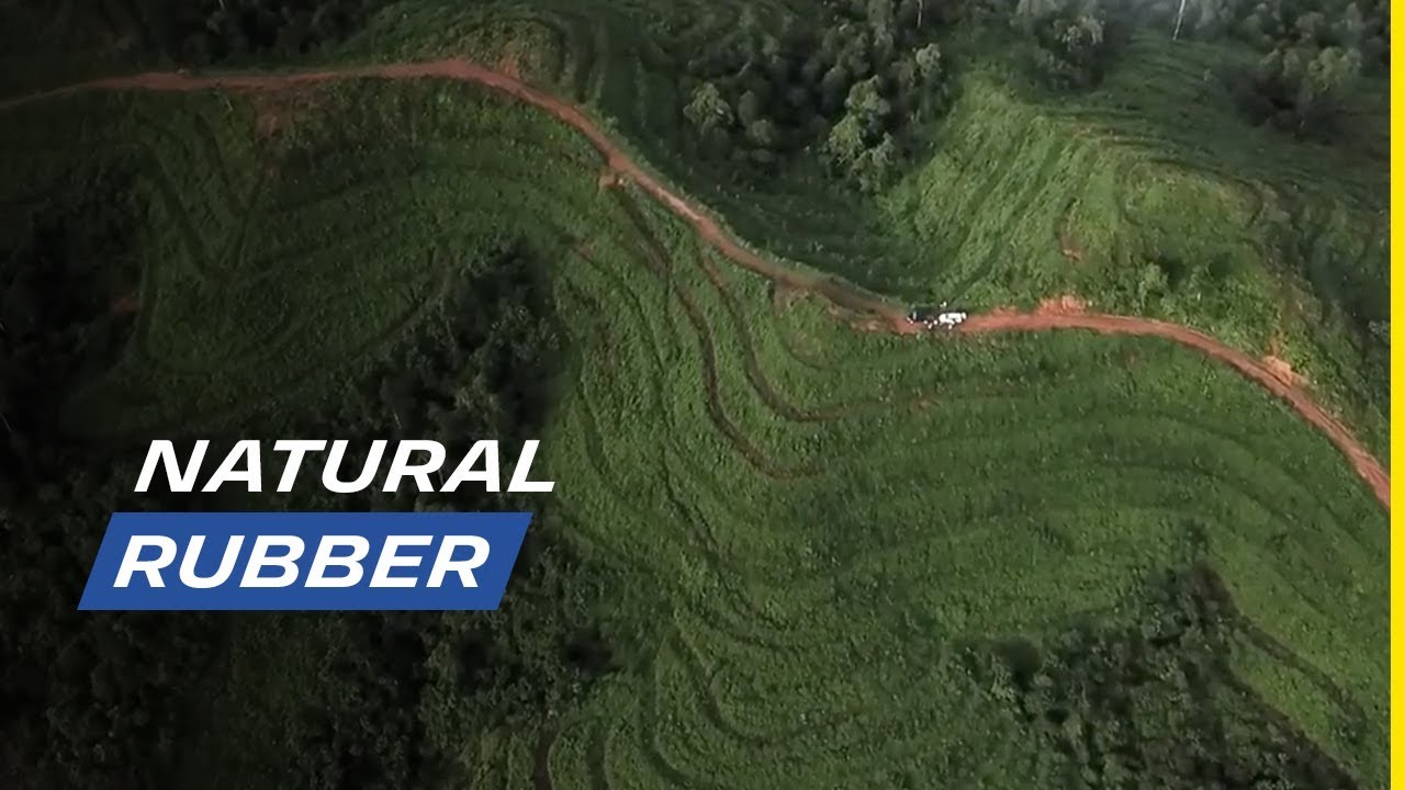 Our commitment to Sustainable Natural Rubber | Michelin
