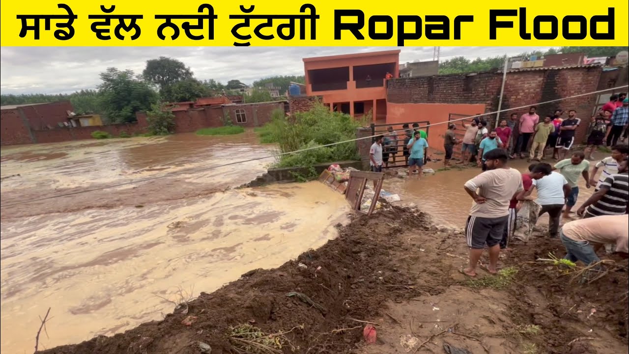 Flood ਸਾਡੇ ਵੱਲ ਨਦੀ ਟੁੱਟਗੀ  ਪਾਣੀ ਪਾਣੀ Ropar Flood  ਦੇ ਖਤਰੇ 'ਚ village jaanmahaal video