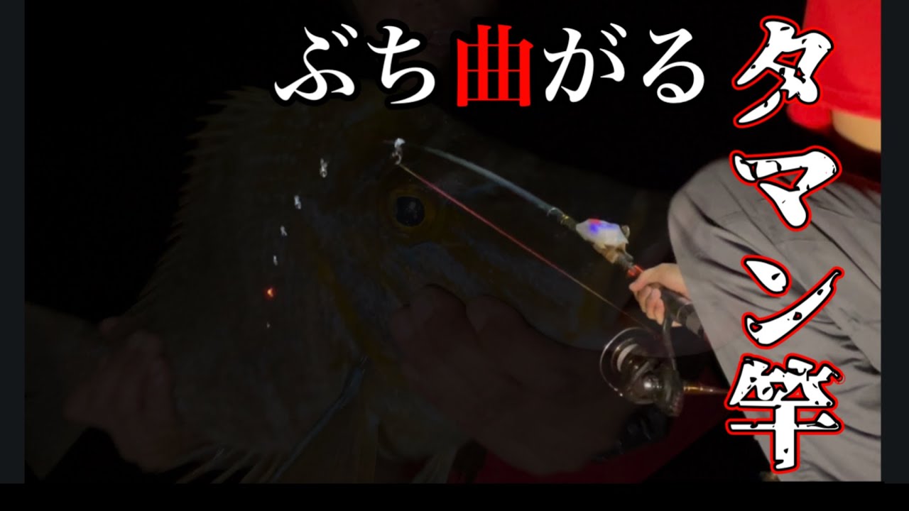 【打ち込み釣り】爆釣！タマン竿ギャン曲がり！！