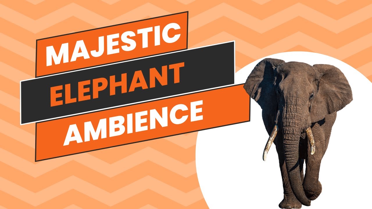 Majestic Elephant Ambience | Perfect For Classroom | Relaxing Elephants, Stress Relief #elephant