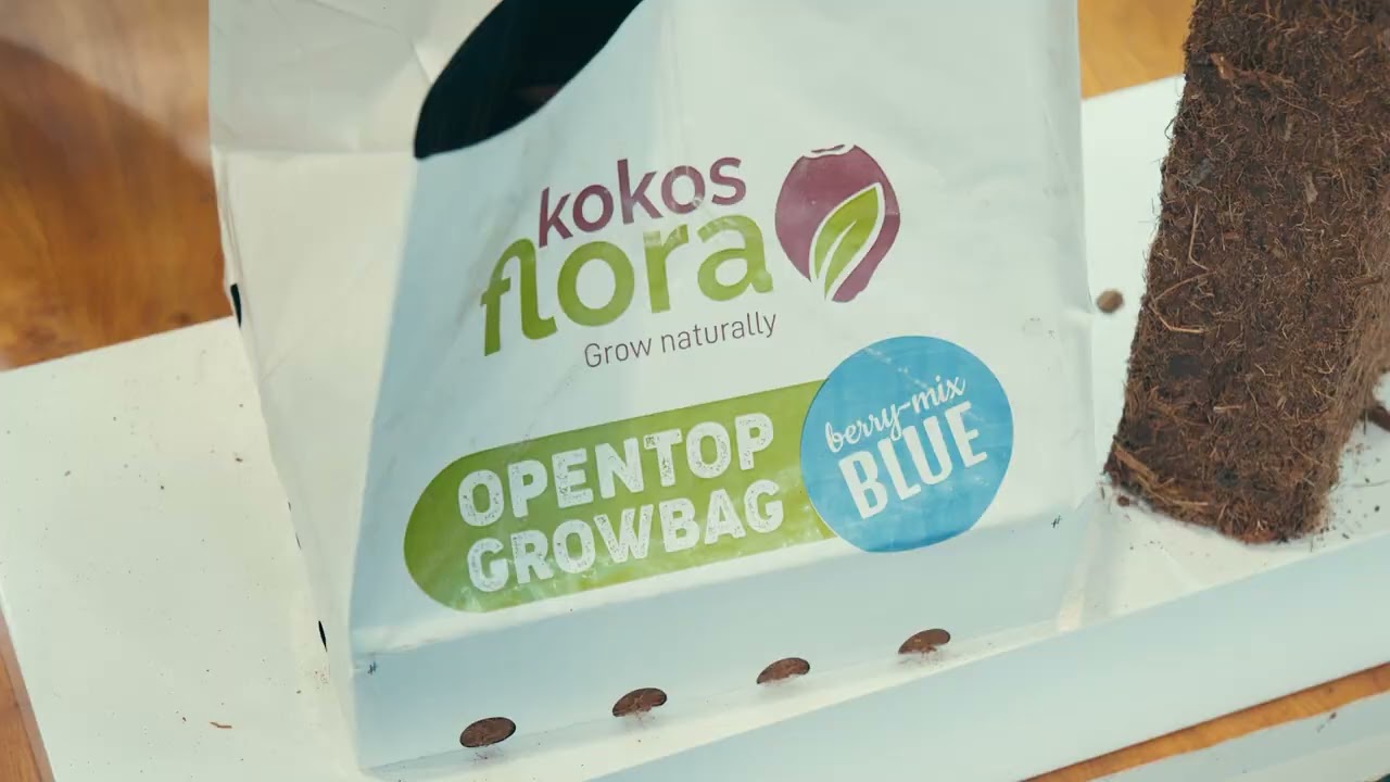 Kokosflora – XXXIX Seminario Internacional de Blueberries Lima - Perú 2026