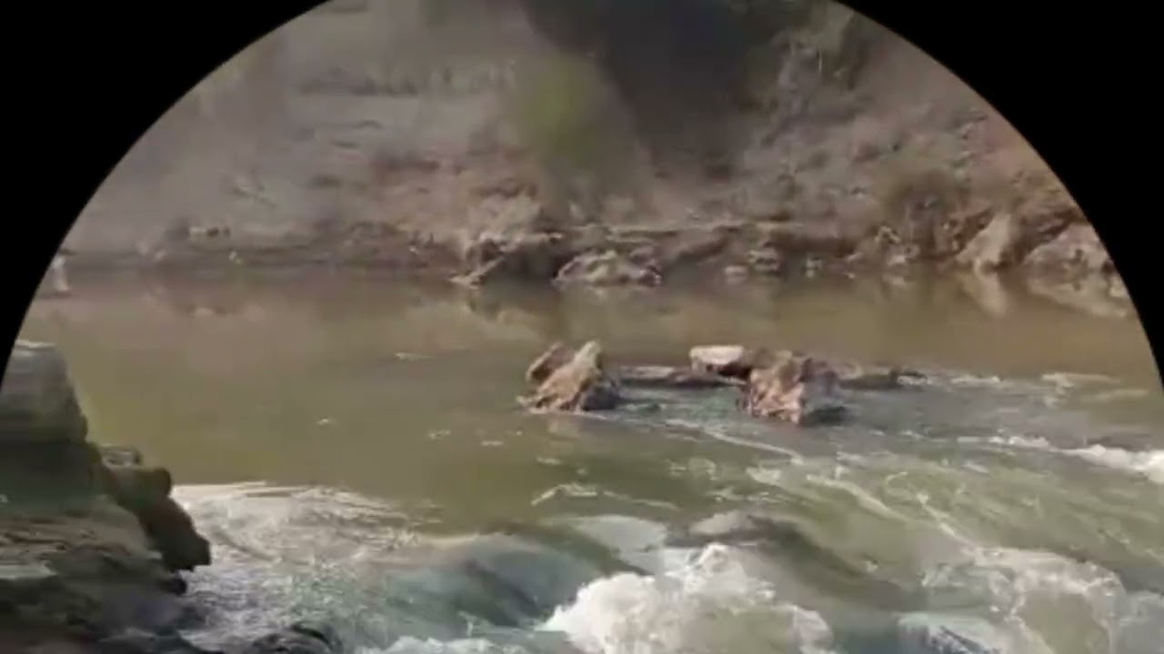 Go with the flow and enjoy the journey#river#flowing