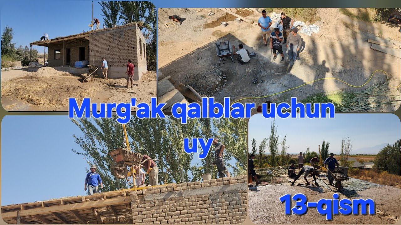 Murg'ak qalblar uchun uy 12-qism 