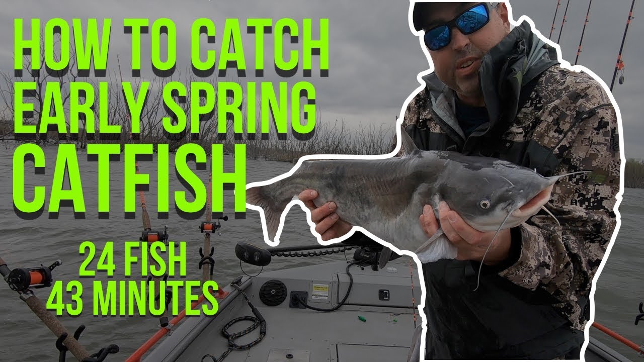 How To Catch Early Spring Catfish (CRAZY Action)