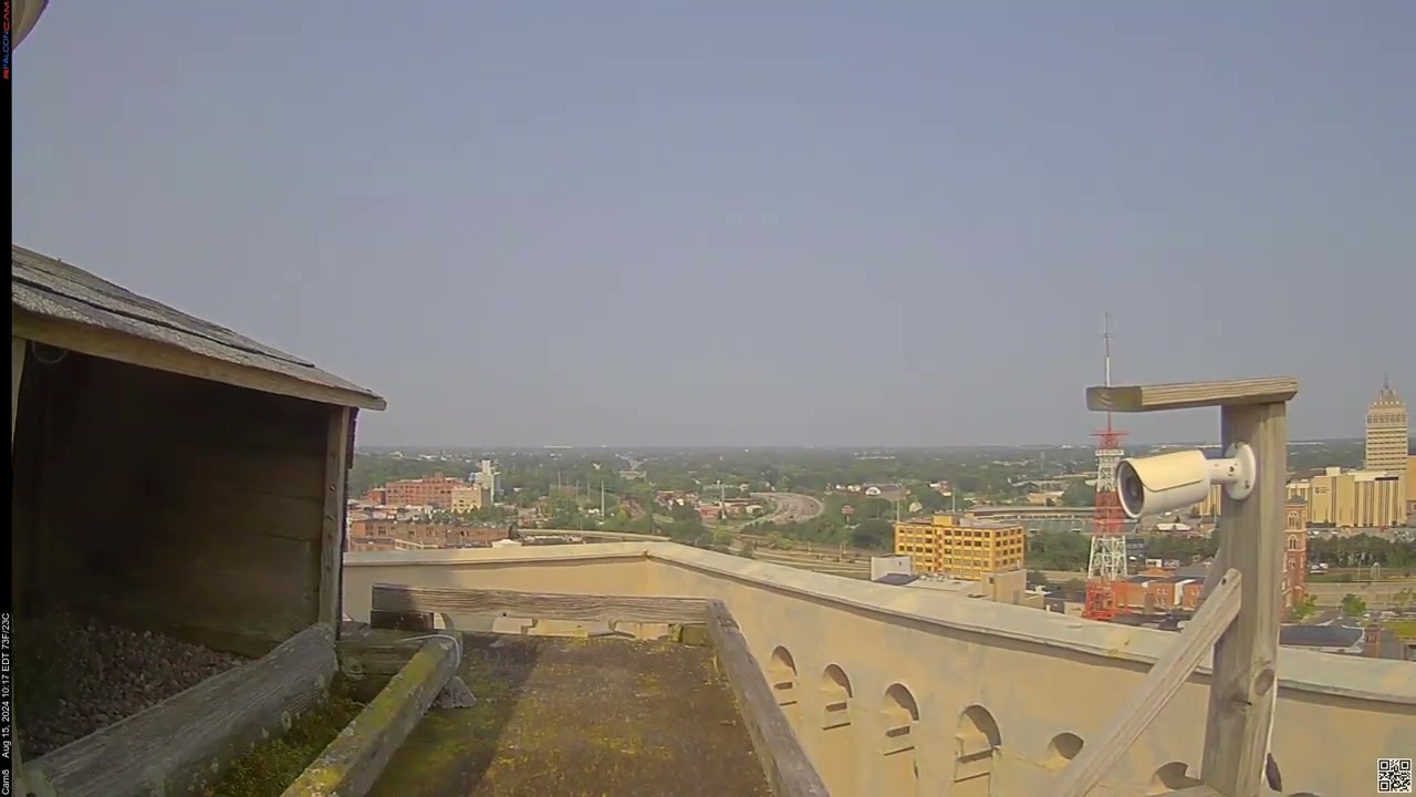 Camera 8 - 08/15/24