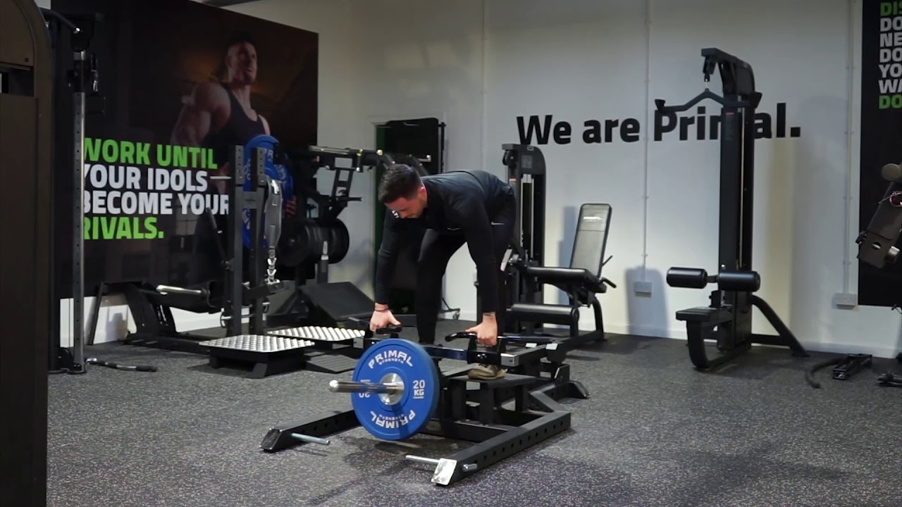 Primal Strength Commercial Standing T-Bar Row