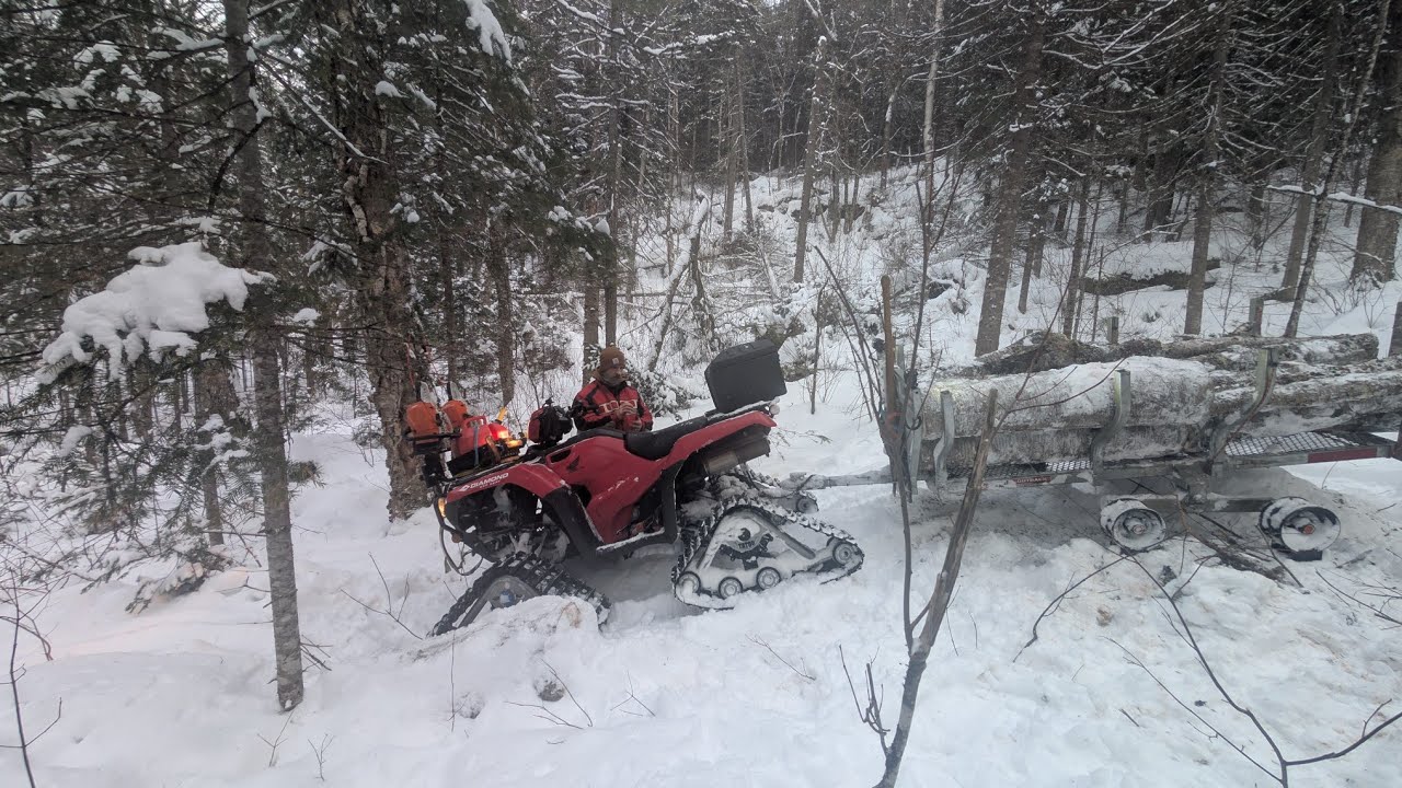 Part 3; transport of yellow birch trees with a trailer on sleds