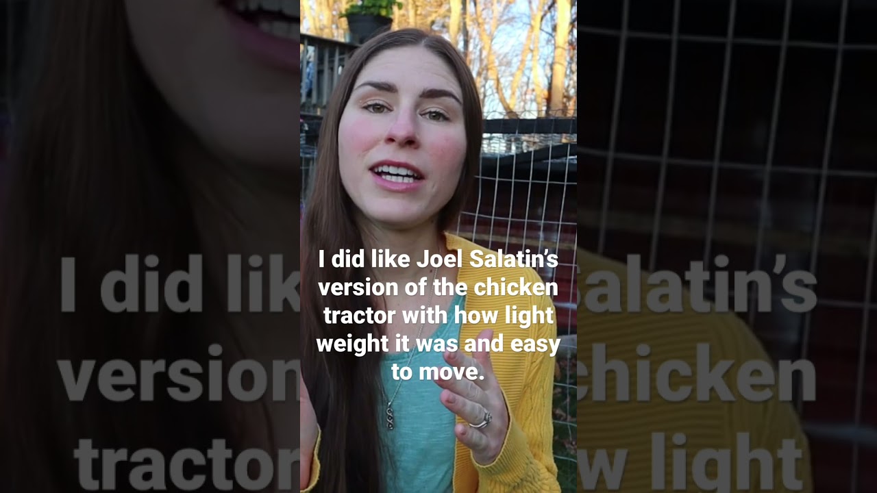 DIY chicken tractor #chickens #backyardchickens #chickentractor