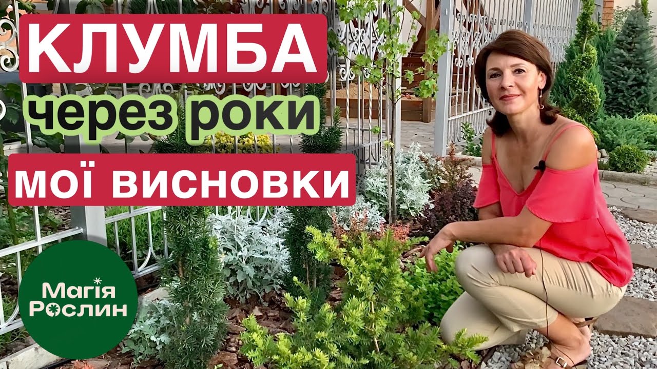 Вузька клумба власноруч: досвід і помилки