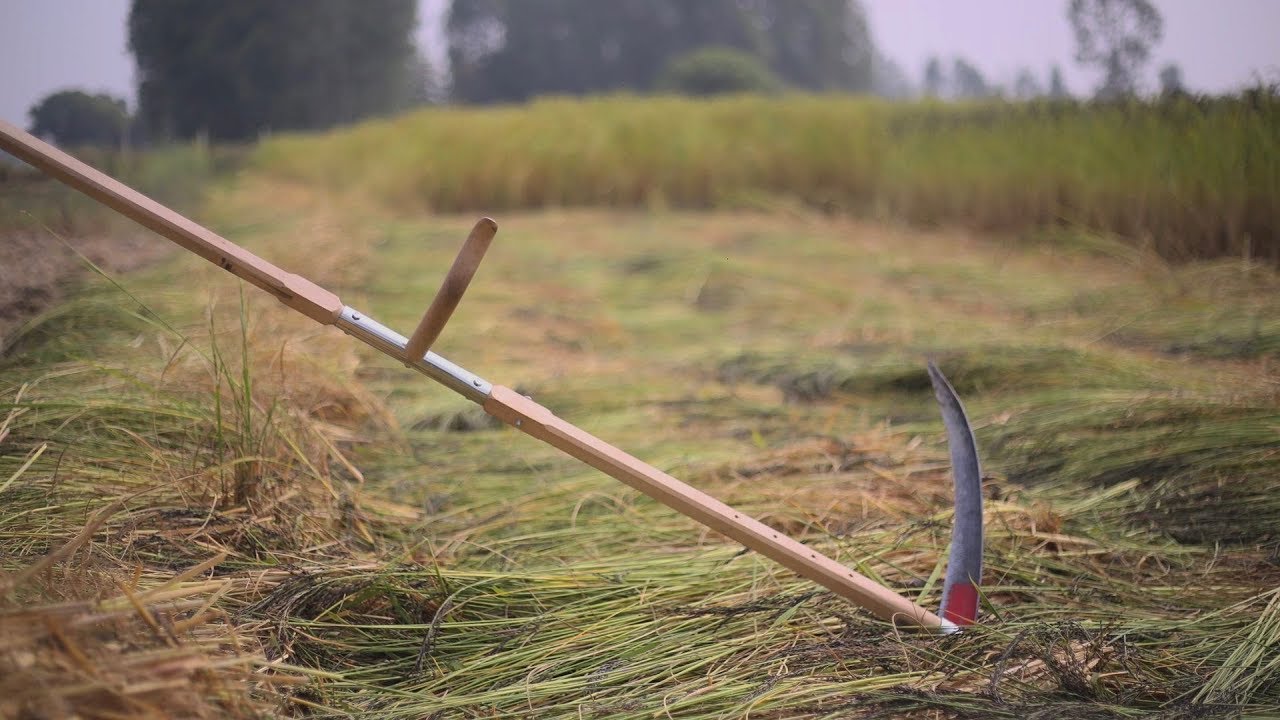 किसानो की पहली पसंद - साइथ । The First Choice for Farmers - Scythe | What is a Scythe !