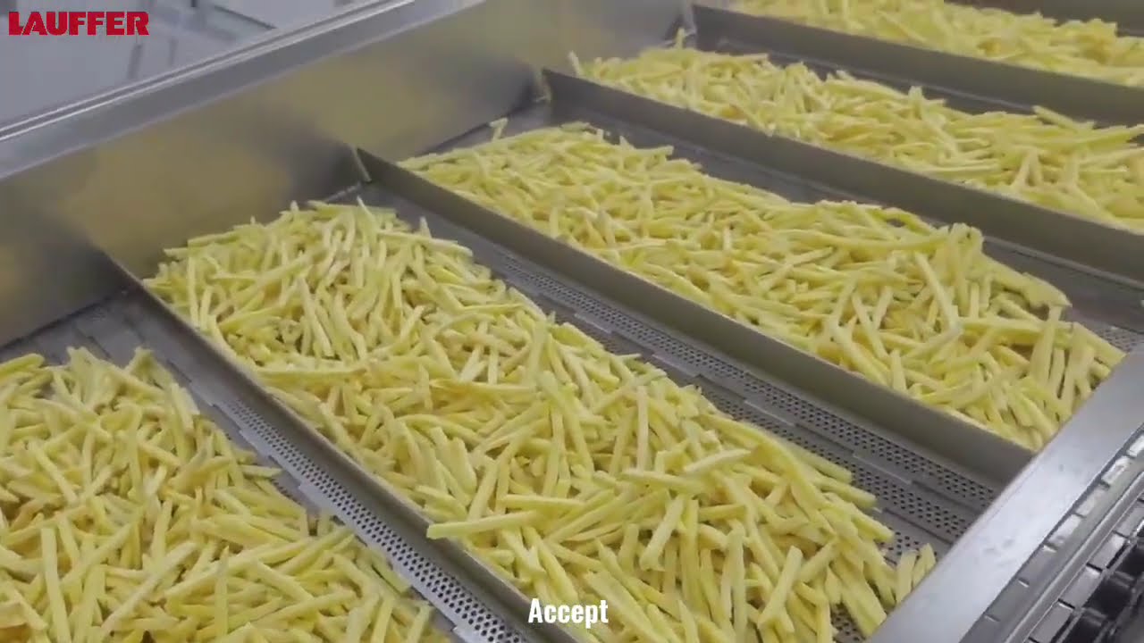 FRENCH FRIES SORTING USING LAUFFER'S AI DEEP LEARNING TECHNOLOGY