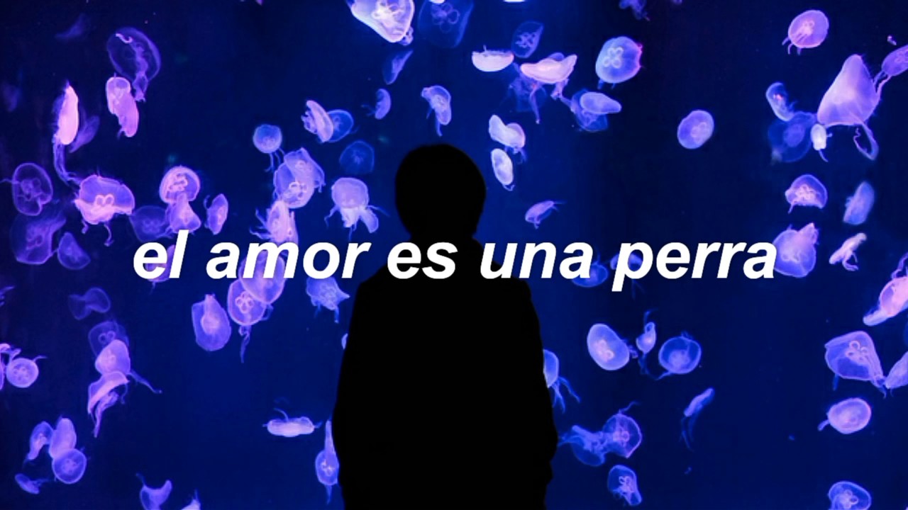 Two Feet - Love Is A Bitch (Español)