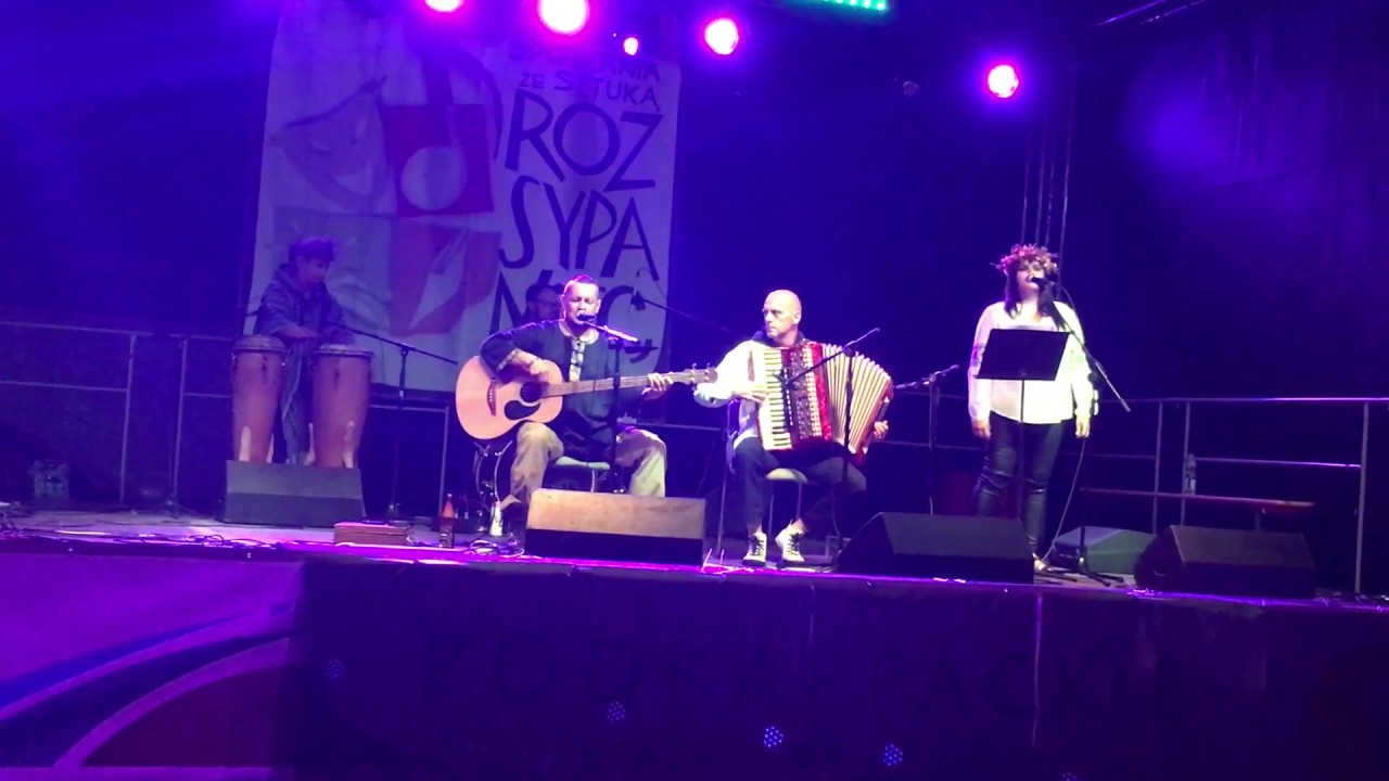 Żmije - 