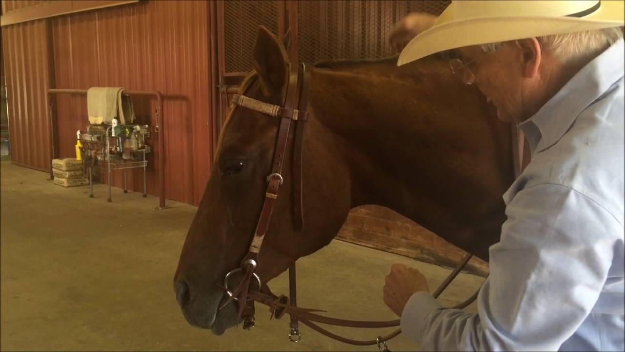 Dennis Moreland Tack: How to Adjust a Snaffle Bridle