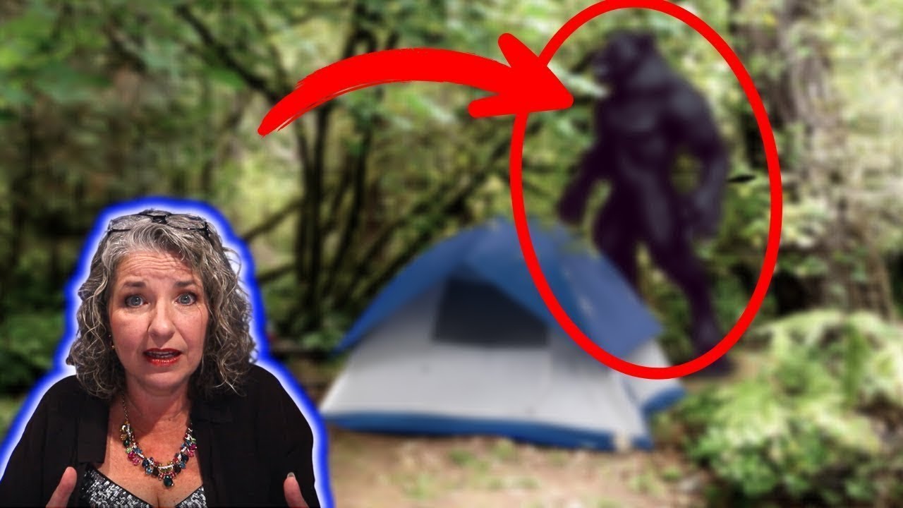 Top 3 Creepy Encounters in the Woods You Won't Believe