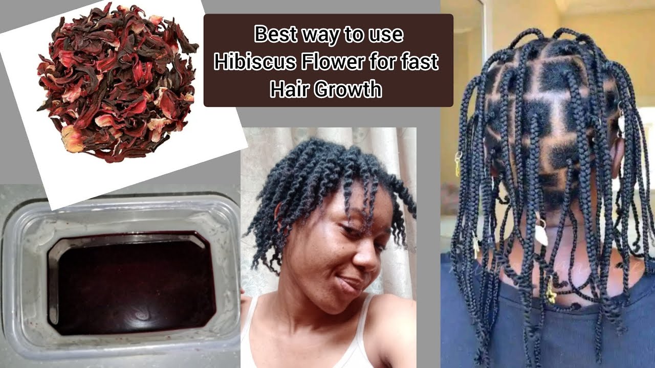 I Made Hibiscus Hair Spray For Growth