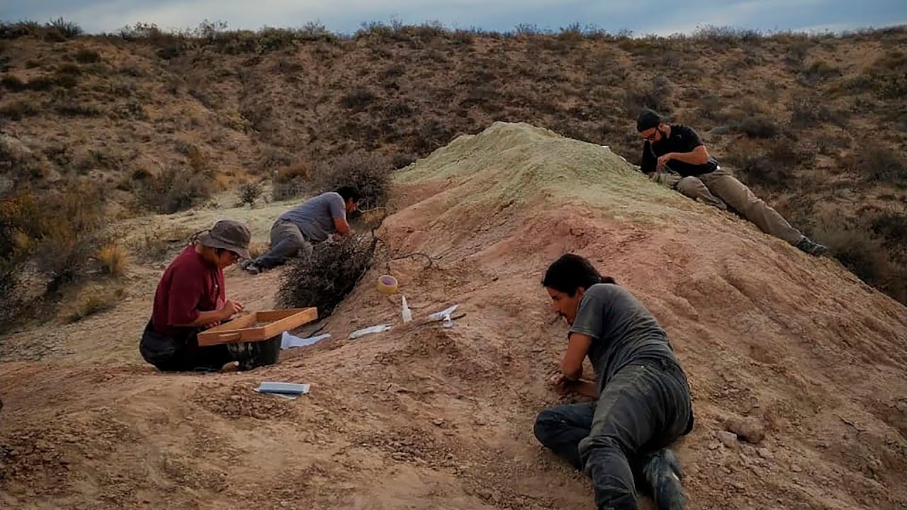 Streaming de científicos del Conicet en búsqueda de fósiles de dinosaurios - día 2