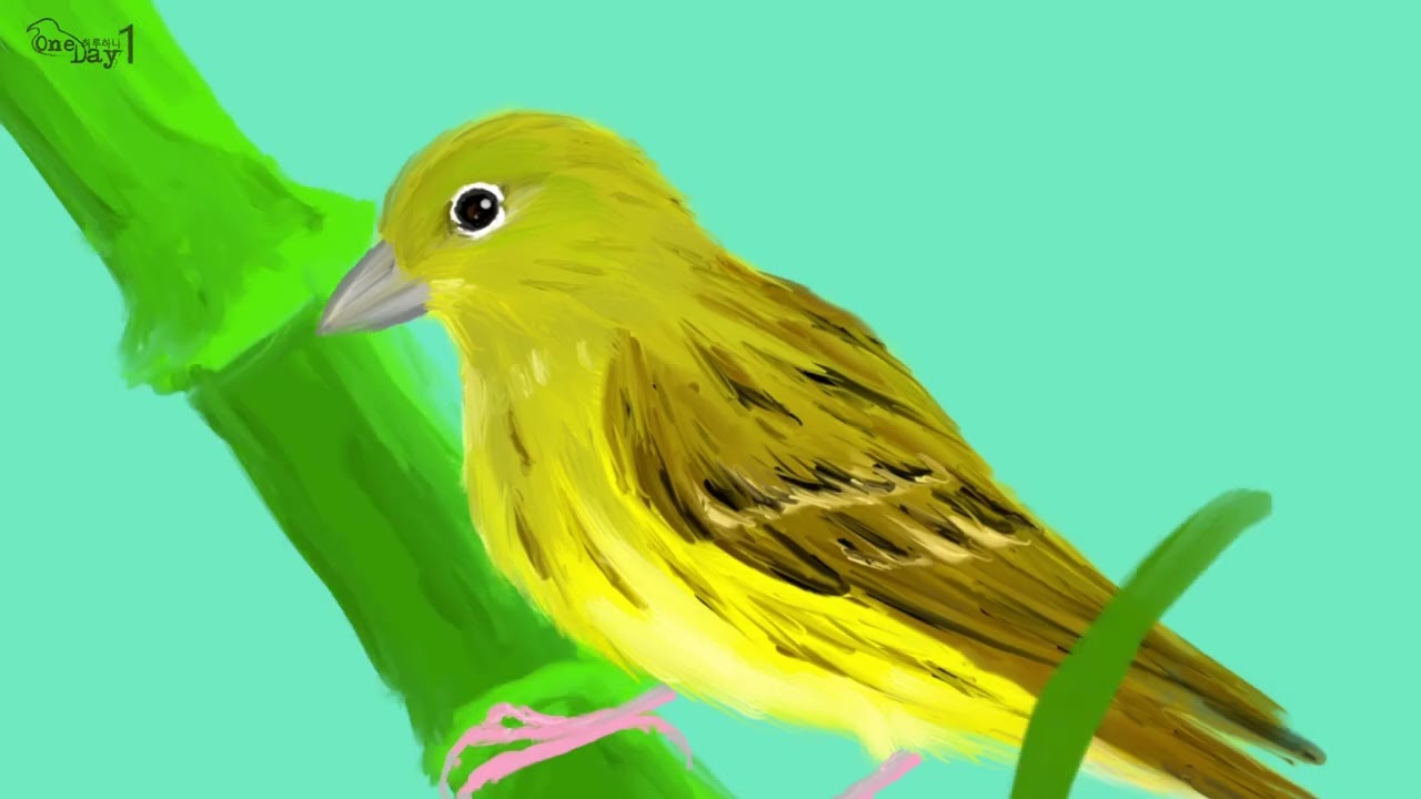 Yellow Bunting 무당새 그리기 2