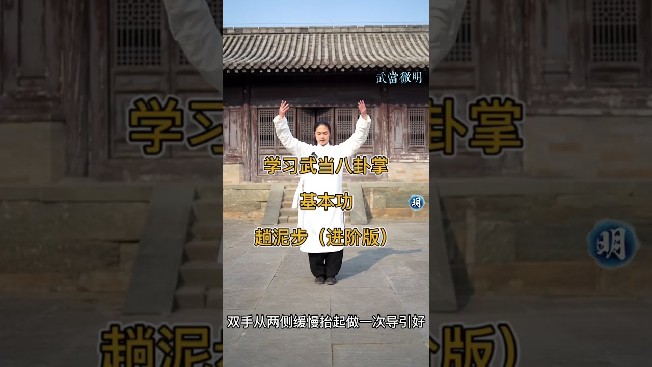 直趟泥步(二) Baguazhang Tutorial 八卦掌最基本的基本功 穩固下盤 鍛鍊重心水平移動  explore walking step on Muddy（Advanced）