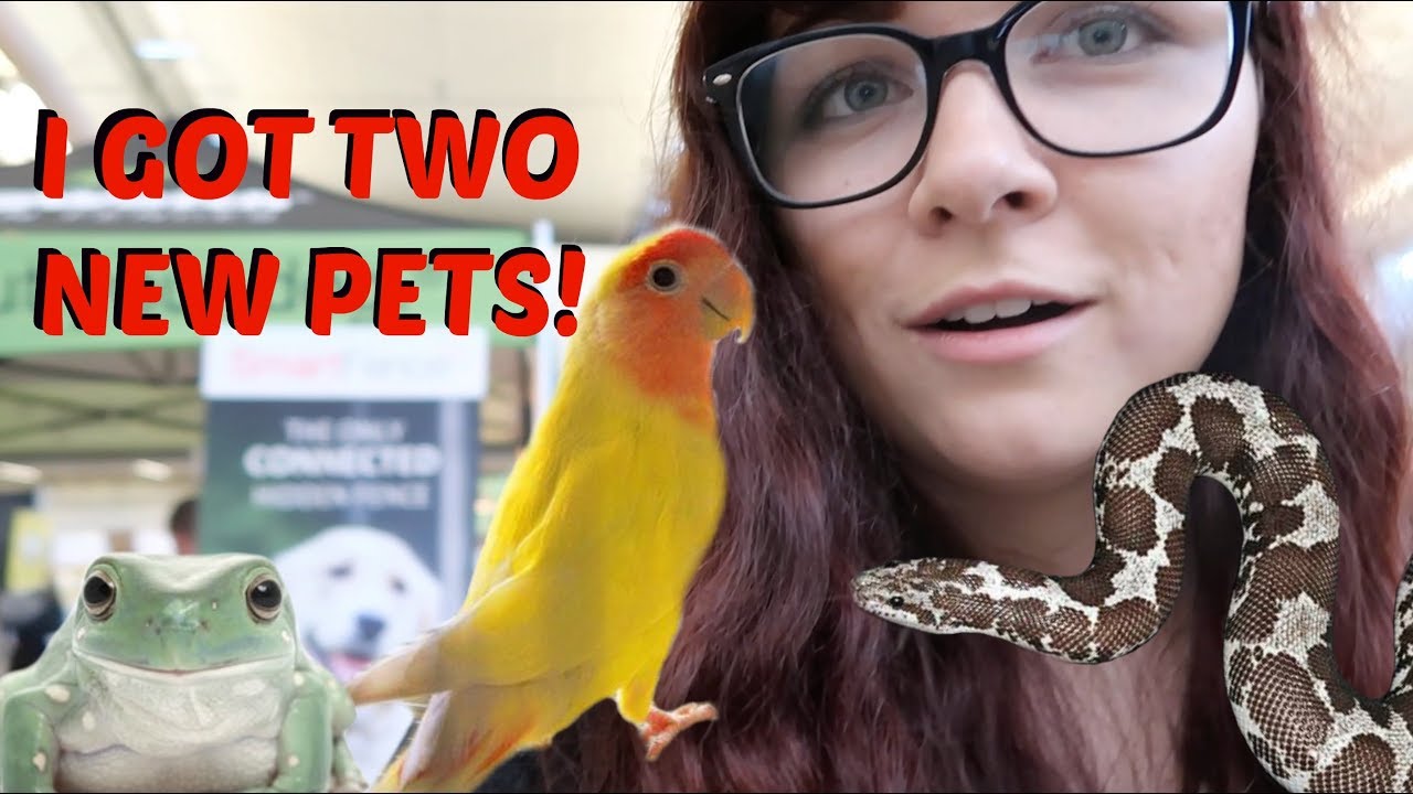 I GOT TWO NEW PETS! | PITTSBURGH PET EXPO & PGH REPTILE SHOW w/ Tyler Rugge