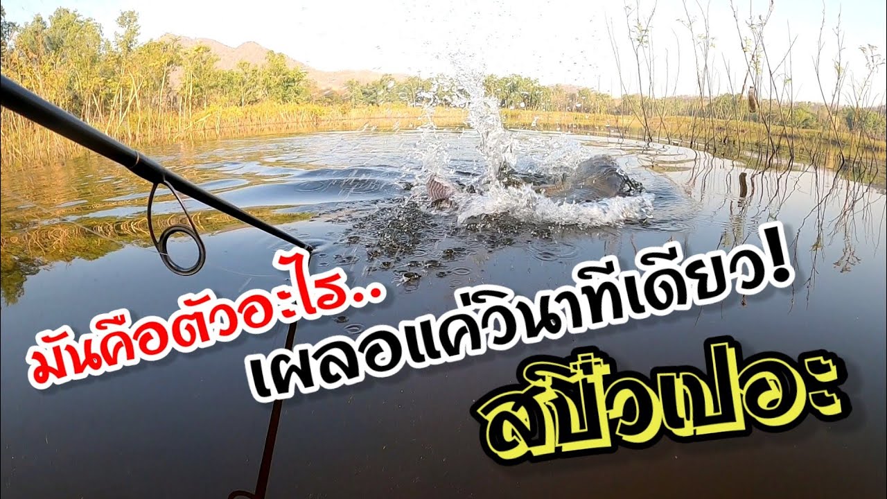 มันคือตัวอะไร ? เผลอแค่วินาทีเดียว !!! ตกสปิ๋วเปอะ 👻 AB-FISHING