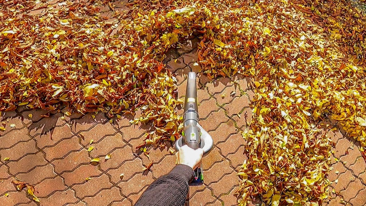 Using a leafblower to clean my backyard *SATYSFIYNG* (GoPro POV video)