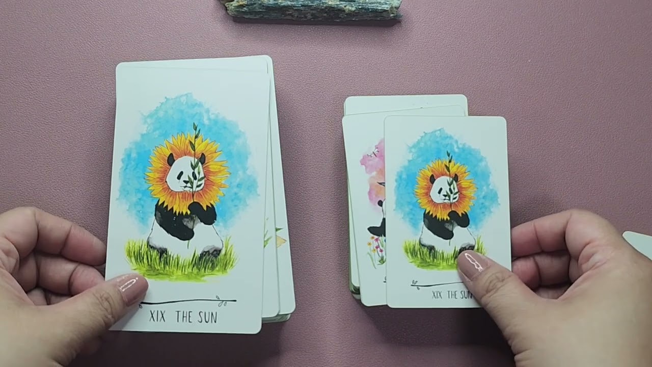 Panda Overload! Way of the Panda - Side By Side with the Baby Panda Tarot