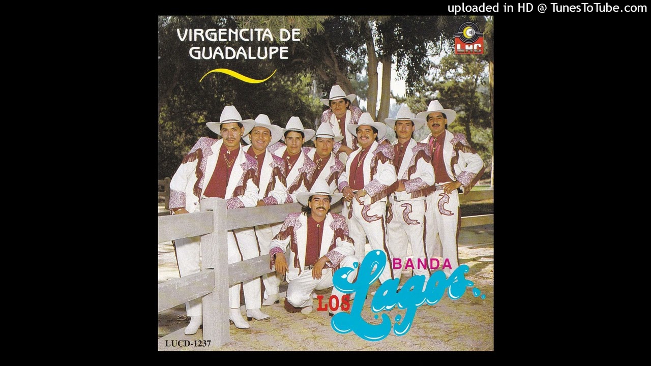 Banda Los Lagos – Se Me Juntaron Las Viejas