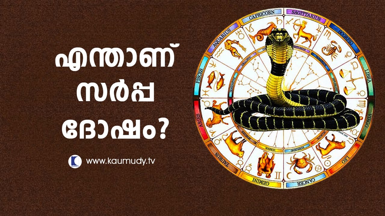 What is Sarpa dosham ? | Pranavam | Ladies Hour