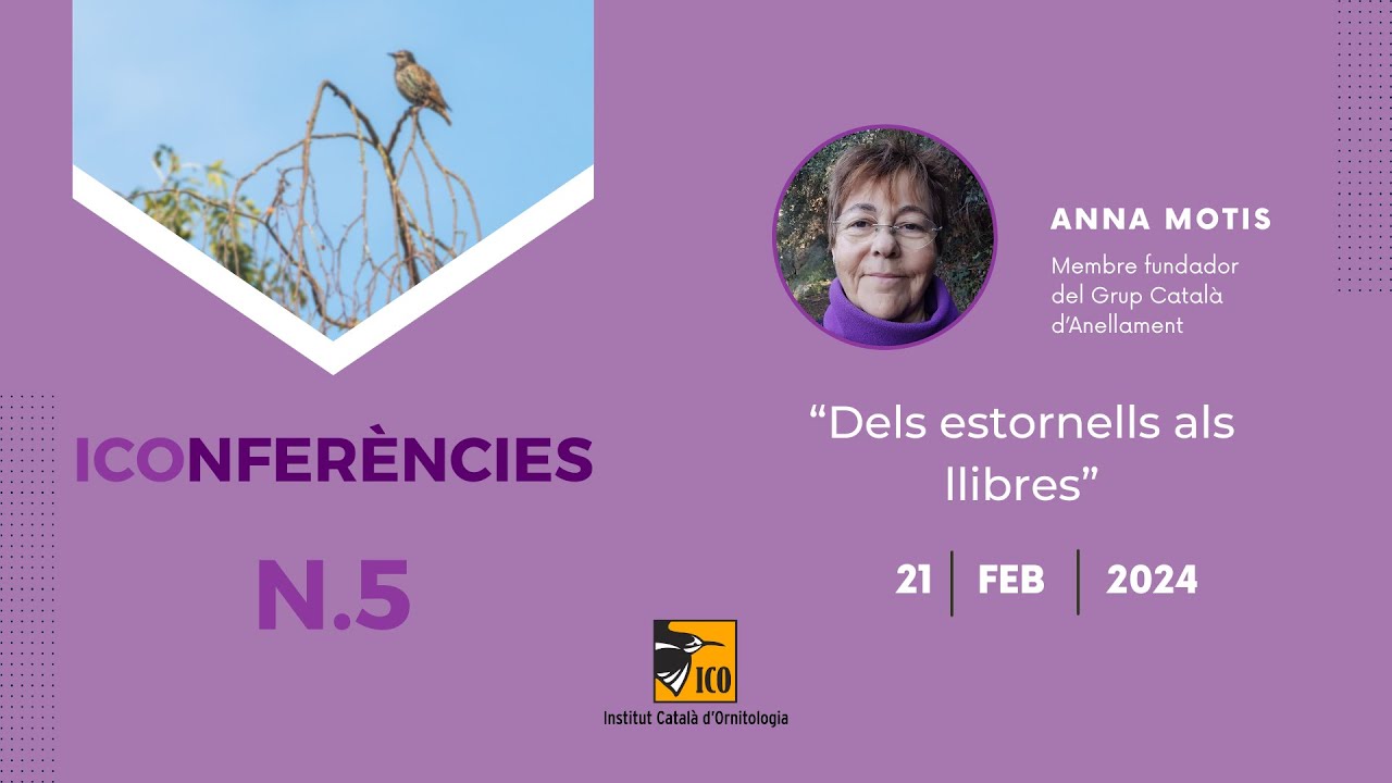 ICOnferència 5 - Anna Motis: Dels estornells als llibres