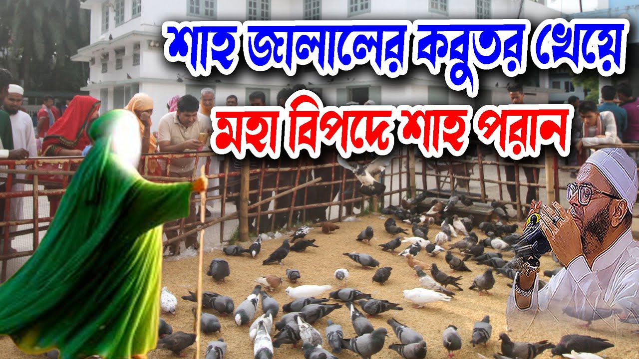 শাহ জালালের কবুতর খেয়ে মহা বিপদে শাহ পরান  Waz মুফতি নাসির উদ্দিন আনসারী ওয়াজ Waz 2025