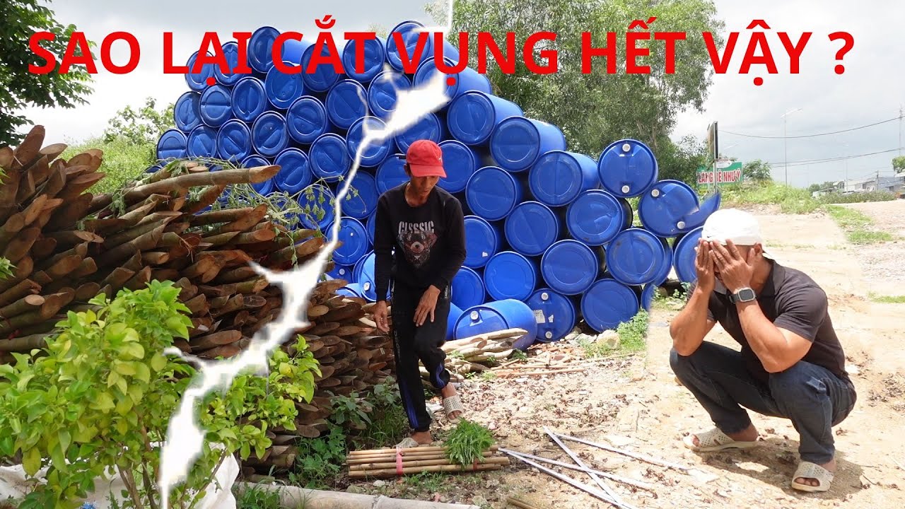 10 R&acirc;u Nhờ B&agrave; 8 Phong Cắt Tre Giao Cho Kh&aacute;ch Kh&ocirc;ng Ngờ 8 Phong L&agrave;m Chuyện N&agrave;y