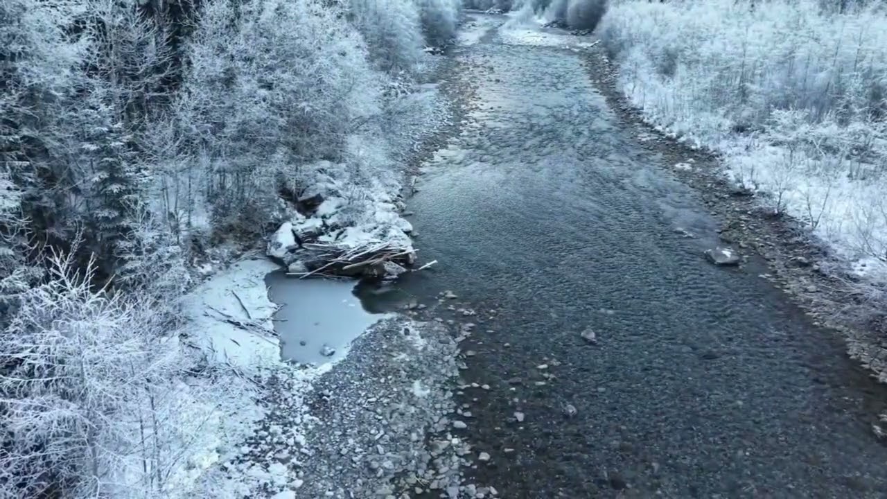 Bregenzer Ache bei Hirschau